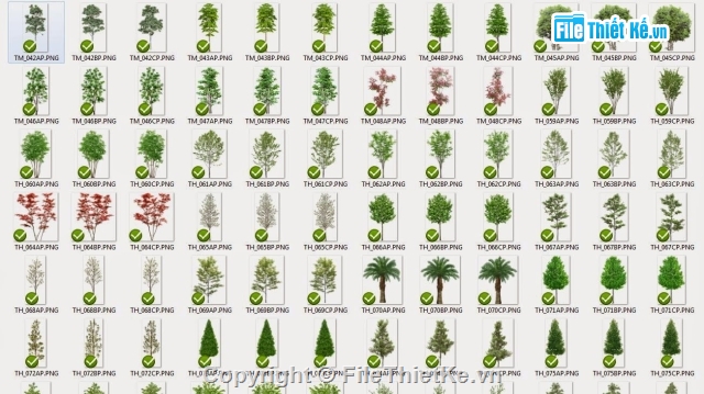 400 MB Thư viện Photoshop cây - dạng PNG (bản đẹp) - Ảnh 3